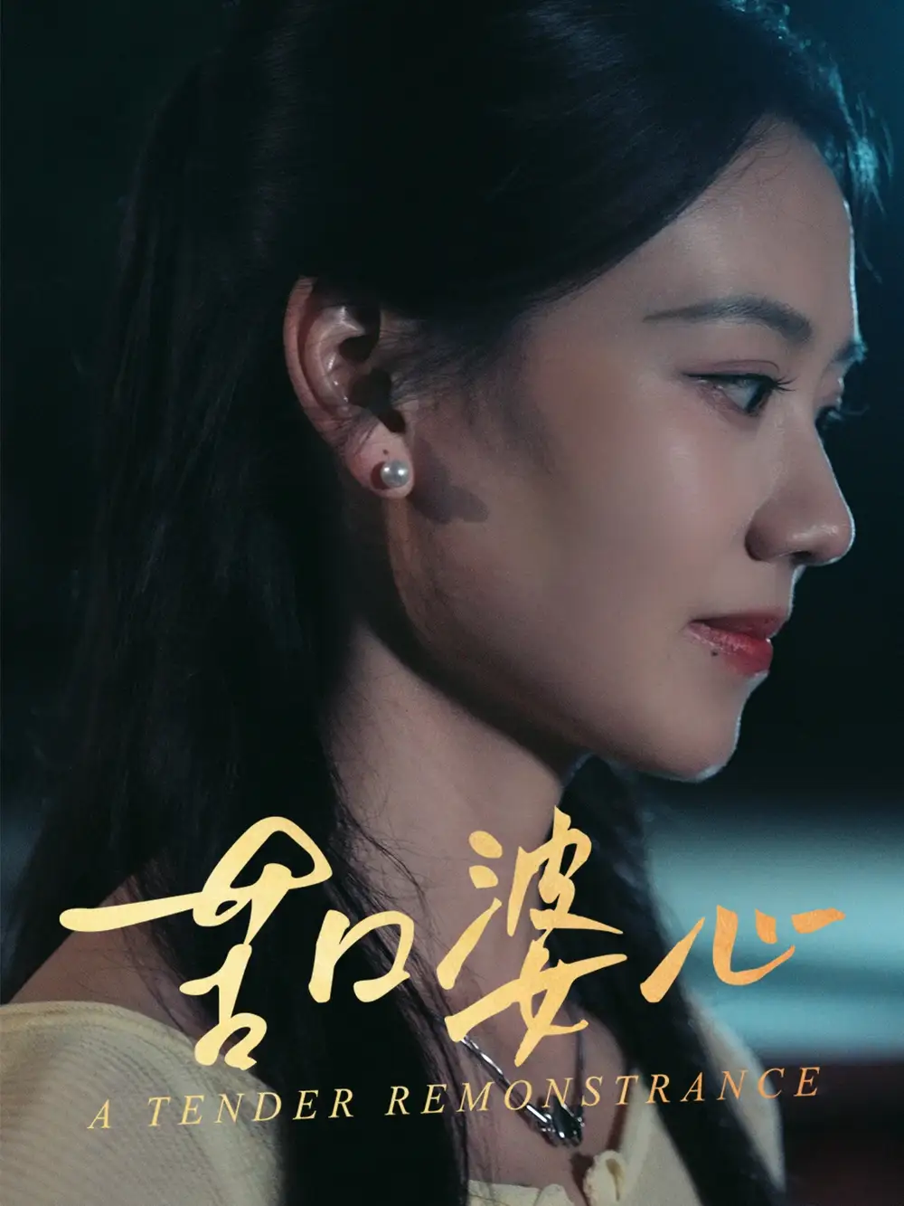 苦口婆心(50集)王艳秋 - 短剧海报图片 - 50集 苦口婆心(50集)王艳秋短剧免费全集在线观看