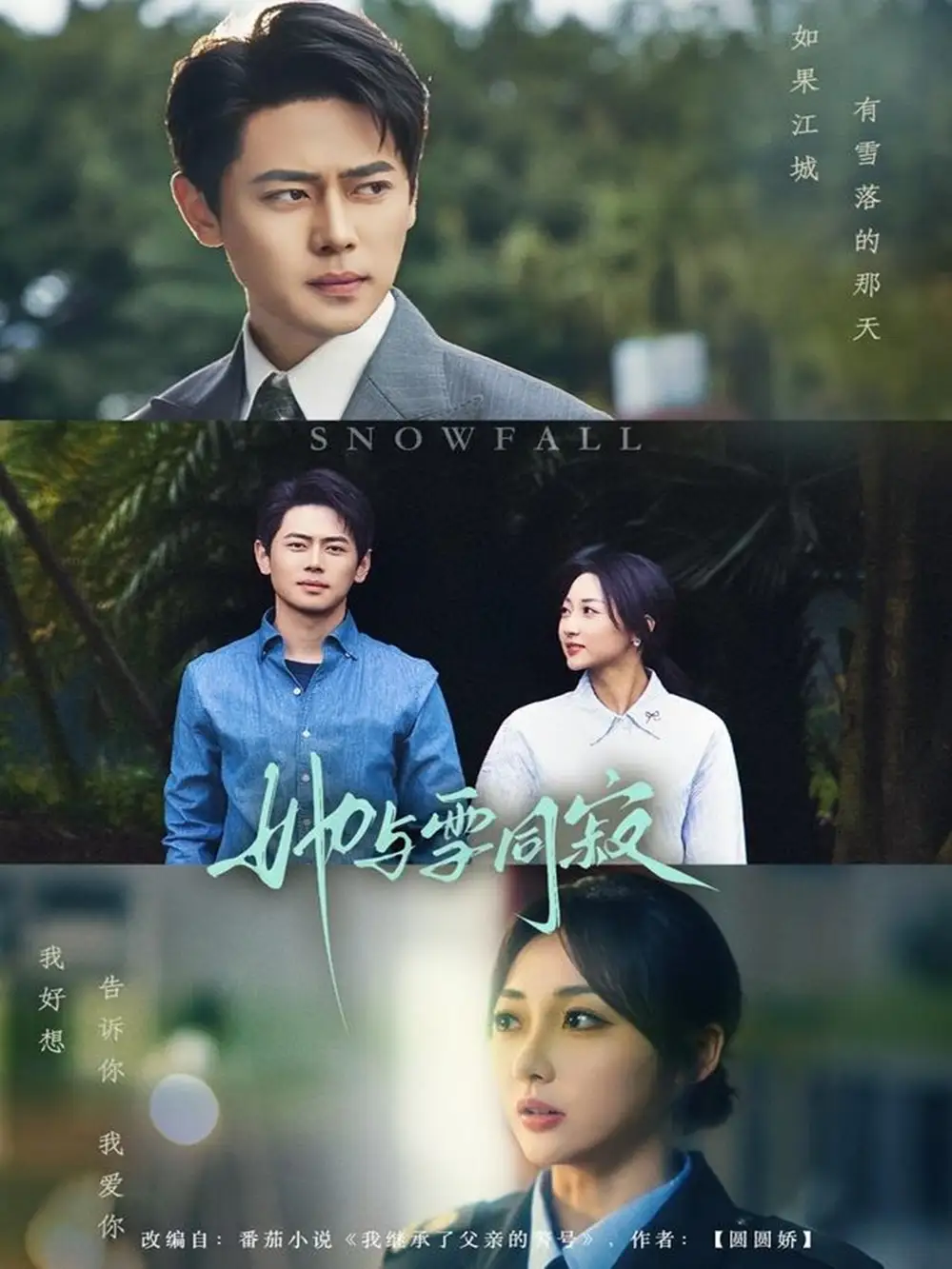 她与雪同寂(70集)李若琪 - 短剧海报图片 - 70集 她与雪同寂(70集)李若琪&尹一博短剧免费全集在线观看